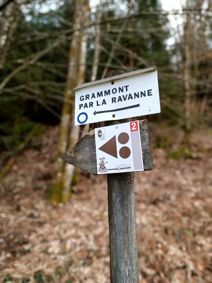Gite De La Ravanne Ramonchamp Buitenkant foto